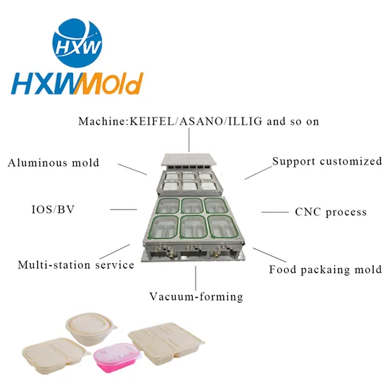 Automatic Disposable Food Container Mould PP Fast Food Foam Box Making Mold Vacuum Forming Thermoforming Mould