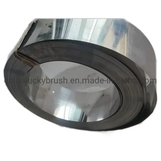 304 Stainless Steel Blade for Dyeing Machinery (YY-HJ001)