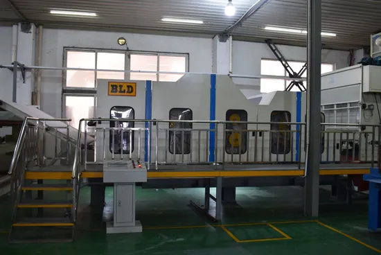 Customizable Non Woven Nonwoven Needle Punching Machine for Tailored Solutions