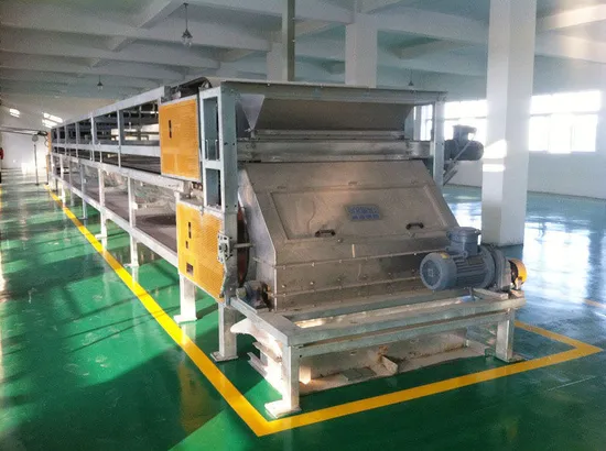 Double Belt Cooler Unique Crusher Dust Free Uniform Flakes China Manufacturer