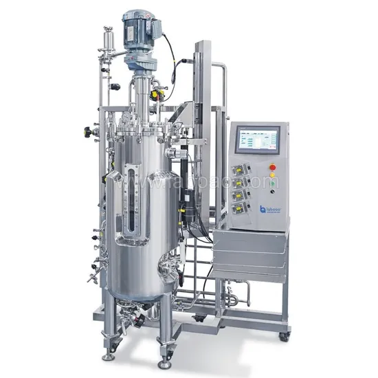 Laboao Stainless Steel Bioreactor Fermeration Tank for Bacteria and Cell Culture