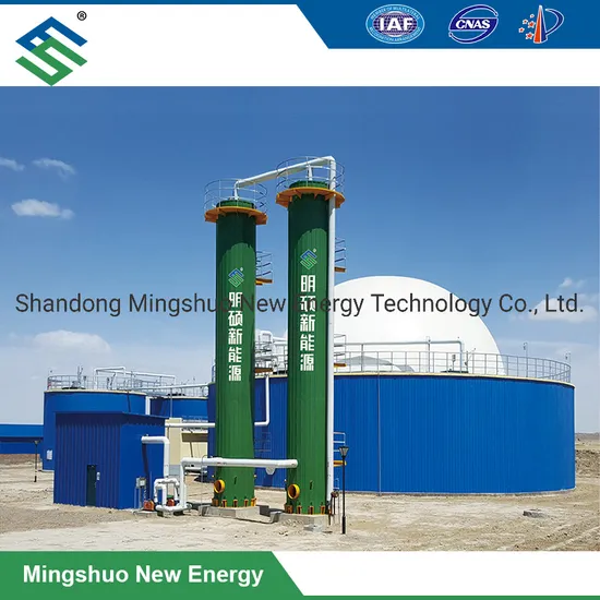 Dry Desulfurization Equipment for Removal of Hydrogen Sulfide