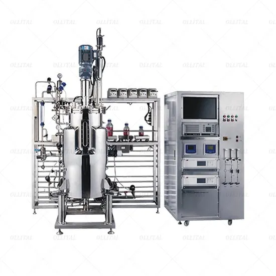 Ollital Stainless Steel Fermenter Bioreactor Industrial Bioreactors Mini Lab Bioreactor