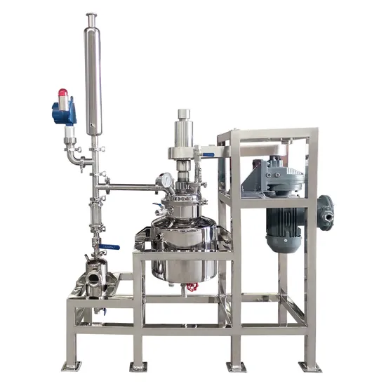 Laboratory Stainless Steel Small High Pressure Reactor with Magnetic Stirring Paddle