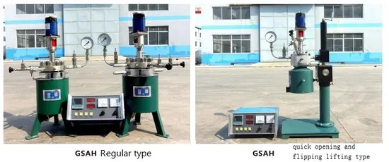 Laboratory Autoclave/High-Pressure Reaction Zero Leakage Chemical Equipment Machinery with Magnetic Coupling Seal