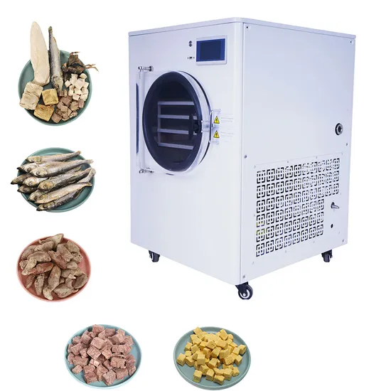 Small Home Use Household Laboratory Food Lyophilizer Freeze Dryer Machine