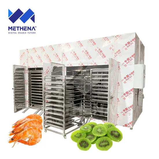 Professional Chicken Feet Dehydrator Machine Chili Fruit Drying Machine Dehydrator for Fish