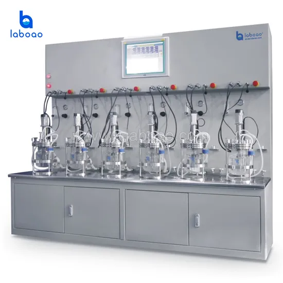 Laboao 6-12 Conjoined Glass Fermenter Bioreactor Price