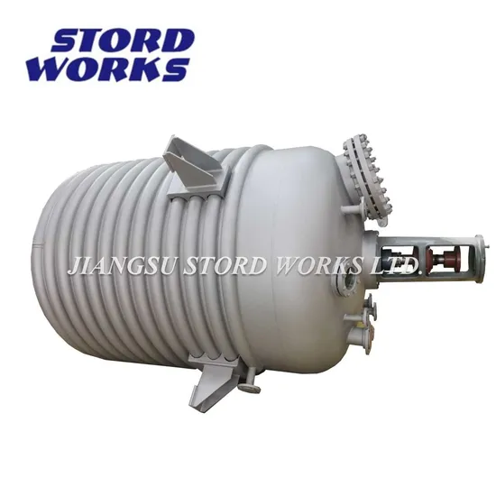 Customizable Fermenter Stainless Steel Bioreactor 500L 1000L 10000L 20000L for Sale