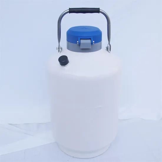 Professional 6L Liquid Nitrogen Container for Biological Sample Storage