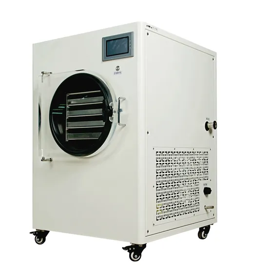 Small Vacuum Freezing Drying Machine for Food Freeze Dryer
