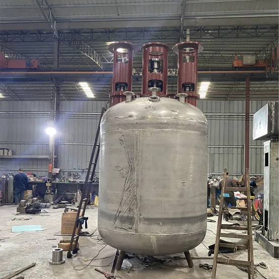Stainless Steel Jacketed Reactor 50liter Adhesive Turnkey Project Reactor Mixer for Pillow Hot Melt Glue