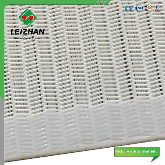 Polyester Belt Spiral Dryer Fabric for Paper Machine
