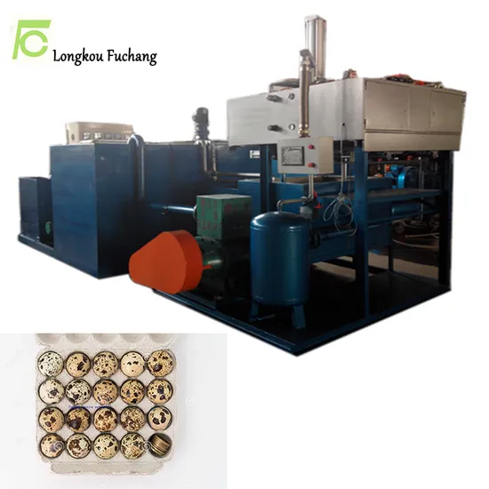 5000 Pieces One Hour Paper Egg Tray Making Machinery Suppliers