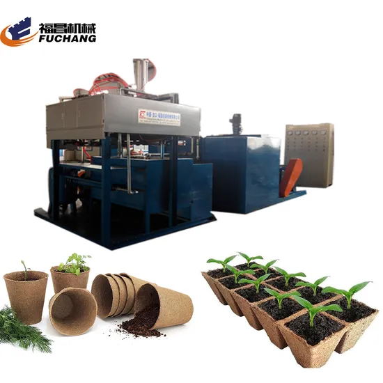 600 Pieces Paper Egg Tray Forming Machinery