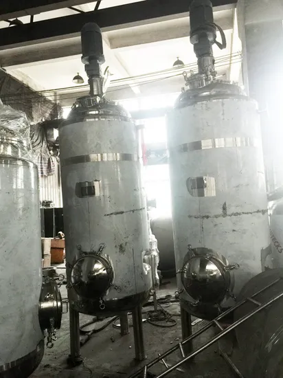 SUS 304 Beer Conical Jacketed Fermenter 200L 300L 500L Fermentation Bbt Tank for Sale