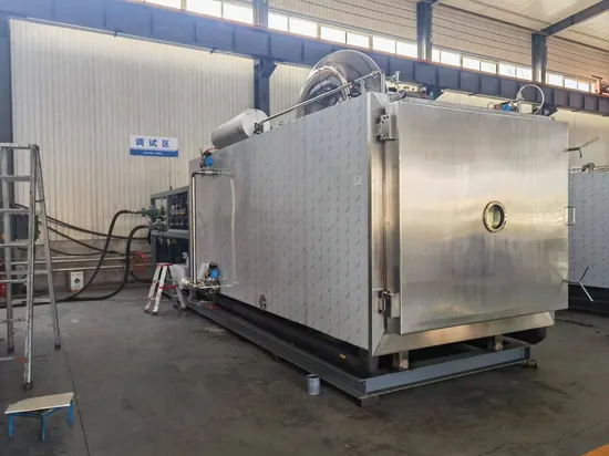 Food Industry Turnkey Fully Automatic Industrial Freeze Vacuum Dryer for Dehydrating Fruits and Vegetables