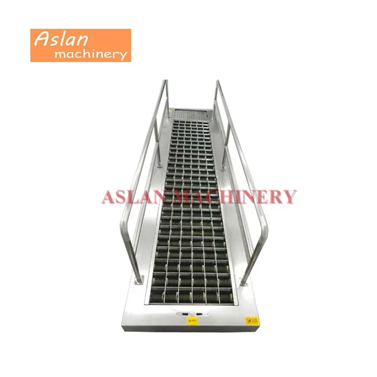 Automatic Roller Shoe Sole Washing Machine/Work Shoe Cleaning Machine for Laboratory
