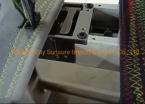 Zigzag Sewing Machine with Double Presser Foot