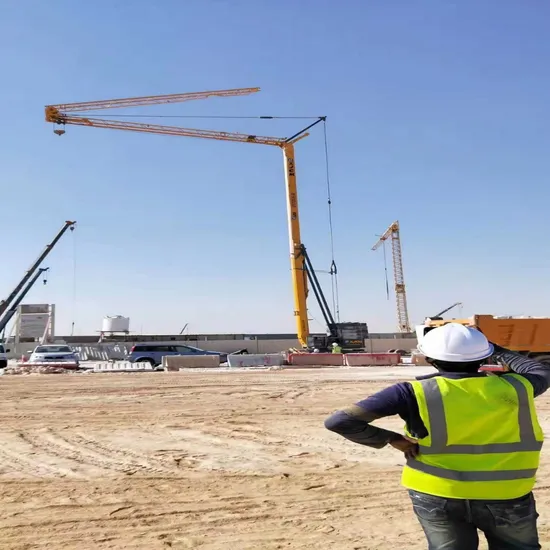 1 Ton 2 Ton 3 Ton 4 Ton 27m, 25m Mobile Travelling Mini Self Erecting Tower Crane