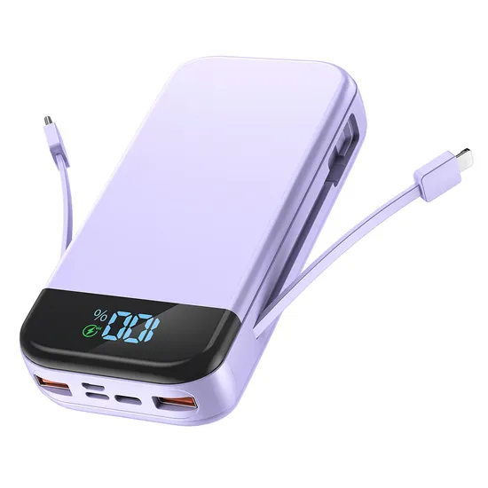 High Capacity 20000mAh 20W Charger Fast Charger Portable Power Bank with LED Display