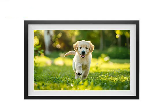 Wholesale WiFi Digital Cloud Frame Photo LCD Touch Screen Wireless Picture Digital Frame Share From Anywhere