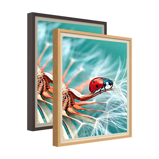 Best Electronic Review 19.2′ Wall Mountable Digital Picture Frame for Art Museum
