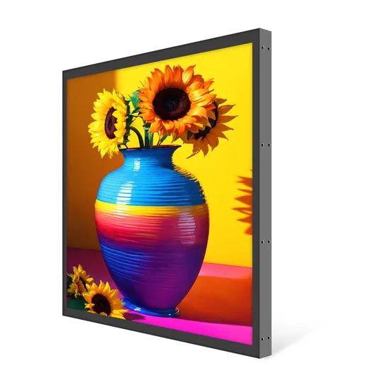 Specially Designal High Color Gamnut 4K FHD 29.5 Inch Square IPS LCD Screen Monitor for Digital Art Museum Exhibition