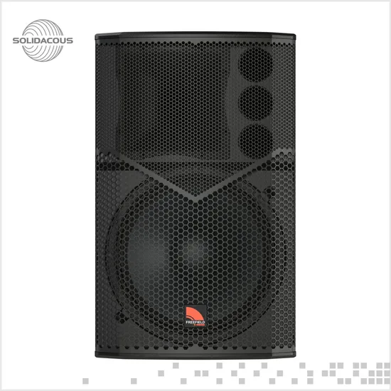 Professional Speaker PA System PRO Sound Professional-Audio 15inch