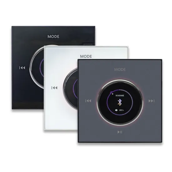 Home Background Music System Manufacturer Products Include Wall-Mounted Power Amplifier