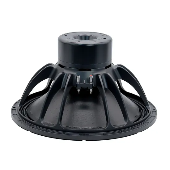 18 Inch Neodymium Subwoofer 4.5&prime;&prime;vc Active/Passive Line Array System 18&prime;&prime; Speaker OEM