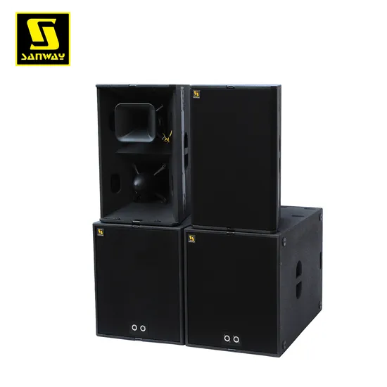 T24n Dual 12 Inch Bi-Amped Passive Line Array Full Range Line Array Speaker for Indoor Outdoor Show