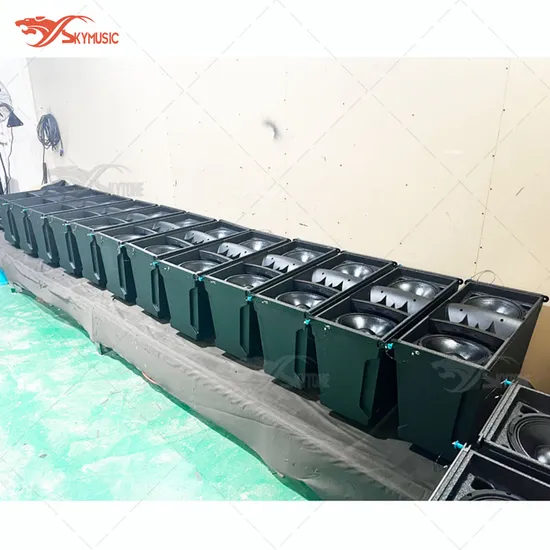 Skytone Audio Dual 10 Inches Line Array Brx300 PRO Audio Line Array Speaker