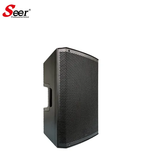 Active Full-Range Speaker Powered Speakers PA System Concert Sound System Loudspeaker