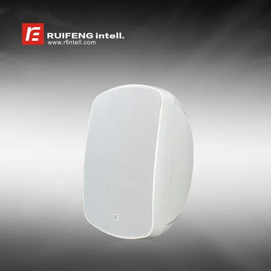 Hotel Shopping Mall Piazza Banquet Hall Professional Outdoor Speaker