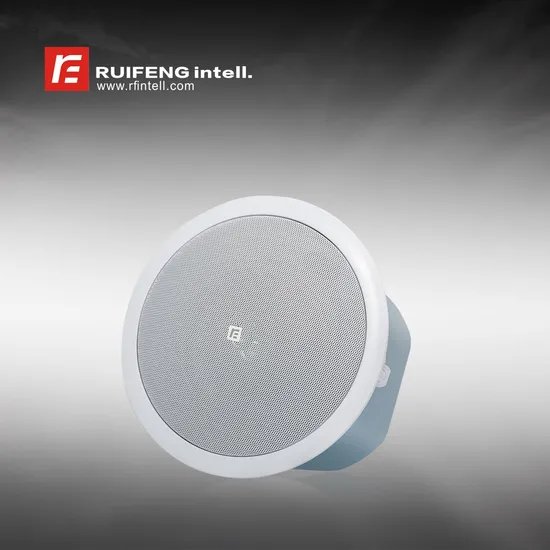Theater Conference Room Banquet Hall Music Hall Ceiling Speaker