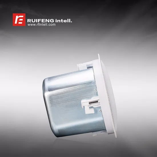 6.5" Professional Ceiling Speaker