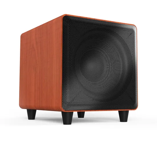 Tianlai Hi-Fi Speaker High Quality Speakers Home Theatre System Subwoofer 10 Inch