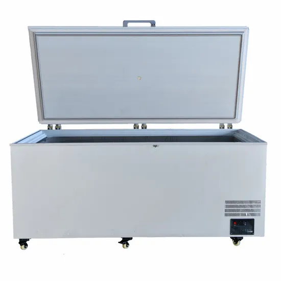 1000L Minus 60 Degree Large Capacity Chest Deep Freezer for Meat Beef Seafood Tuna Fish