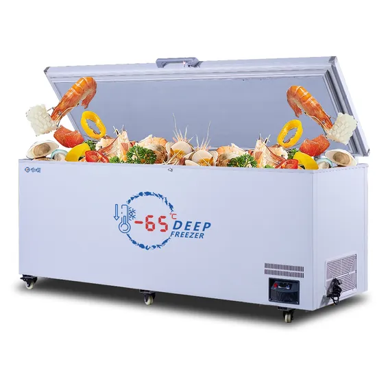 -60c Large Ultra-Low Temperature Meet Tuna Deep Freezer