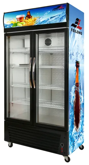 Cold Drink Cabinet Double Door Glass Display Vertical Commercial Display Cabinet