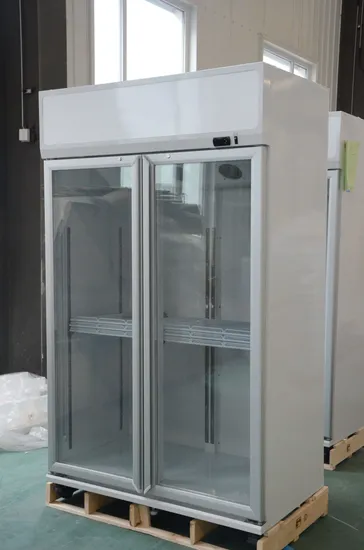 2 Double Doors Instant Beverage Cooler/ Upright Fridge/ Visi Cooler Top Mounted Refrigerator