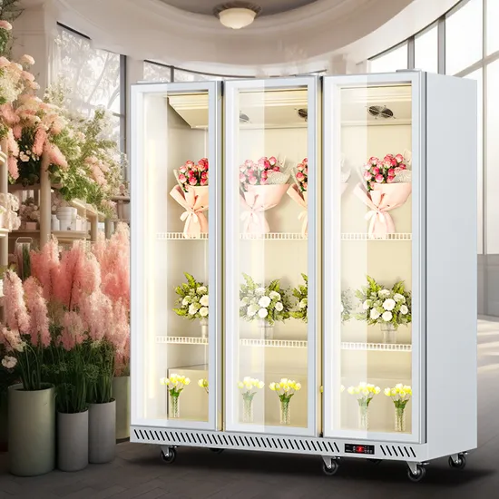 Stylish Air-Cooled Floral Display Refrigerator for Fresh Flowers