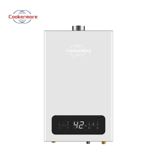 Home Appliances Demand Water Heater CE Approved 10L Gas Water Heater