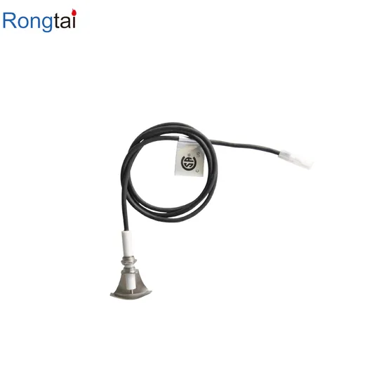 Ignition Electrode Ceramic Electrode Machinable Parts 95 Ceramic Ignition Electrode Ceramic Igniter Parts