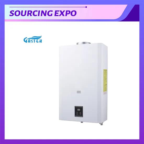 Constant Temperature Hot Sale Flue Type Wall Mounted Instant Water Heater