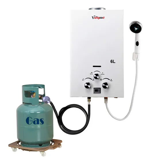 China Flue Type Tankless Instant Hot Natural Propane LPG Bathroom Shower Gas Water Heaters