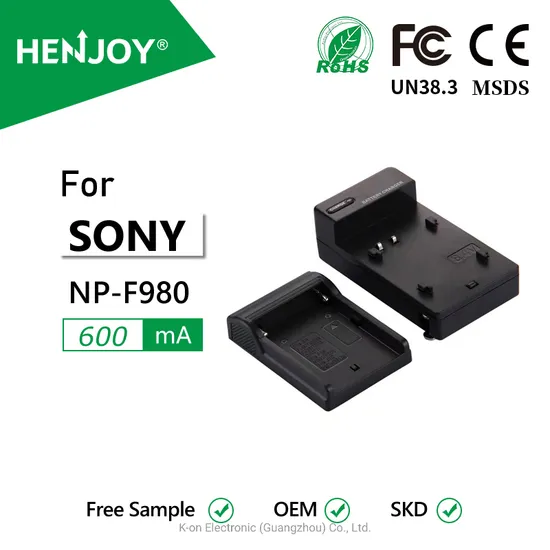 F980 Camera Battery LED Charger for Sony Np-FM50, FM70, FM90, FM30, FM500h, FM55, FM55h, FM71, FM91, F550, F570, F750, F770, F960, F970, F980, F990