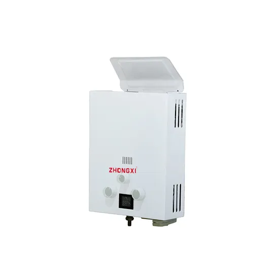 Domestic Big Capacity LPG Ng Geyser System Gas Instant Hot Water Heater