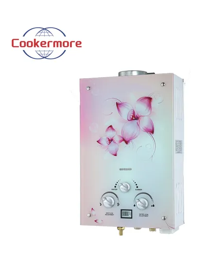China Tankless Instant Hot Natural Propane LPG Bathroom Shower Gas Water Heaters